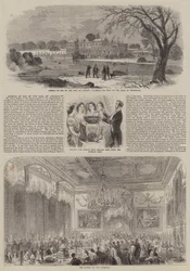 Volwassen Worden van de Graaf van Lincoln